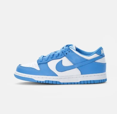 Nike SB bleu